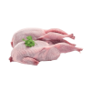 Frozen Halal Pigeon