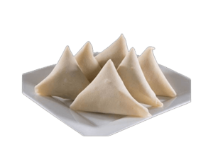 Frozen Samosa Regular