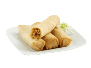 Frozen Spring Roll