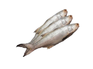 Small Block Lorka 250g