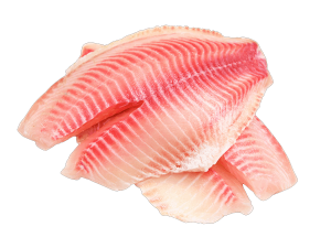 Tilapia Fillet