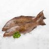 grouper fish