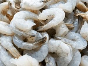 Shrimp-Head-Less